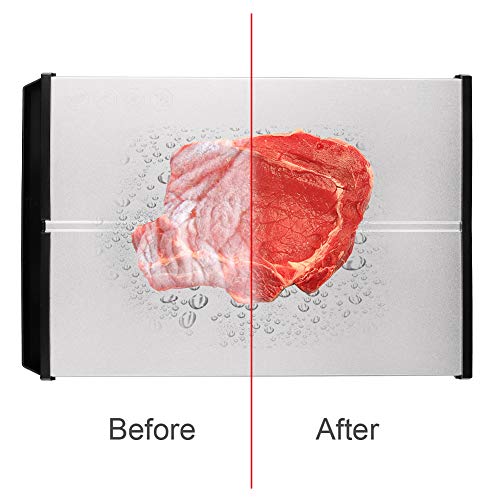 Vegetables Eco Friendly Thawing Plate and Stable Framework for Frozen Meat No Heating BPA Free LilouGG Fast Defrosting Tray Thawing Plate Chicken 