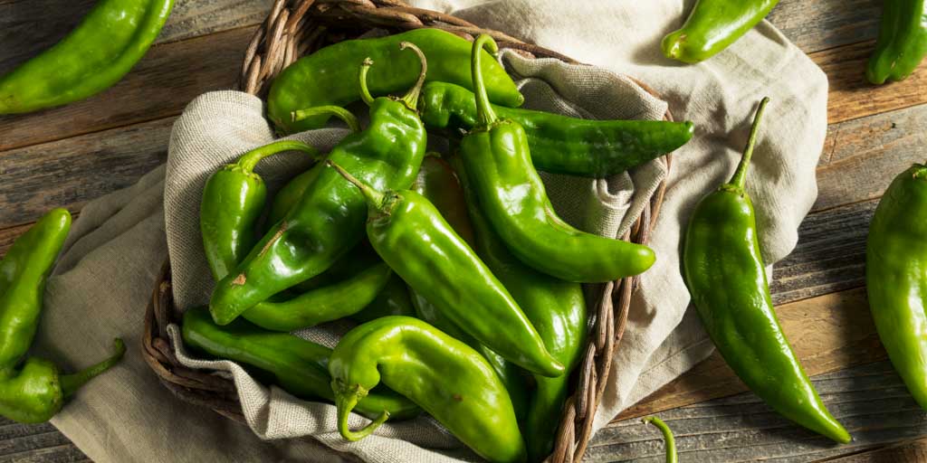 Hatch Chile Peppers