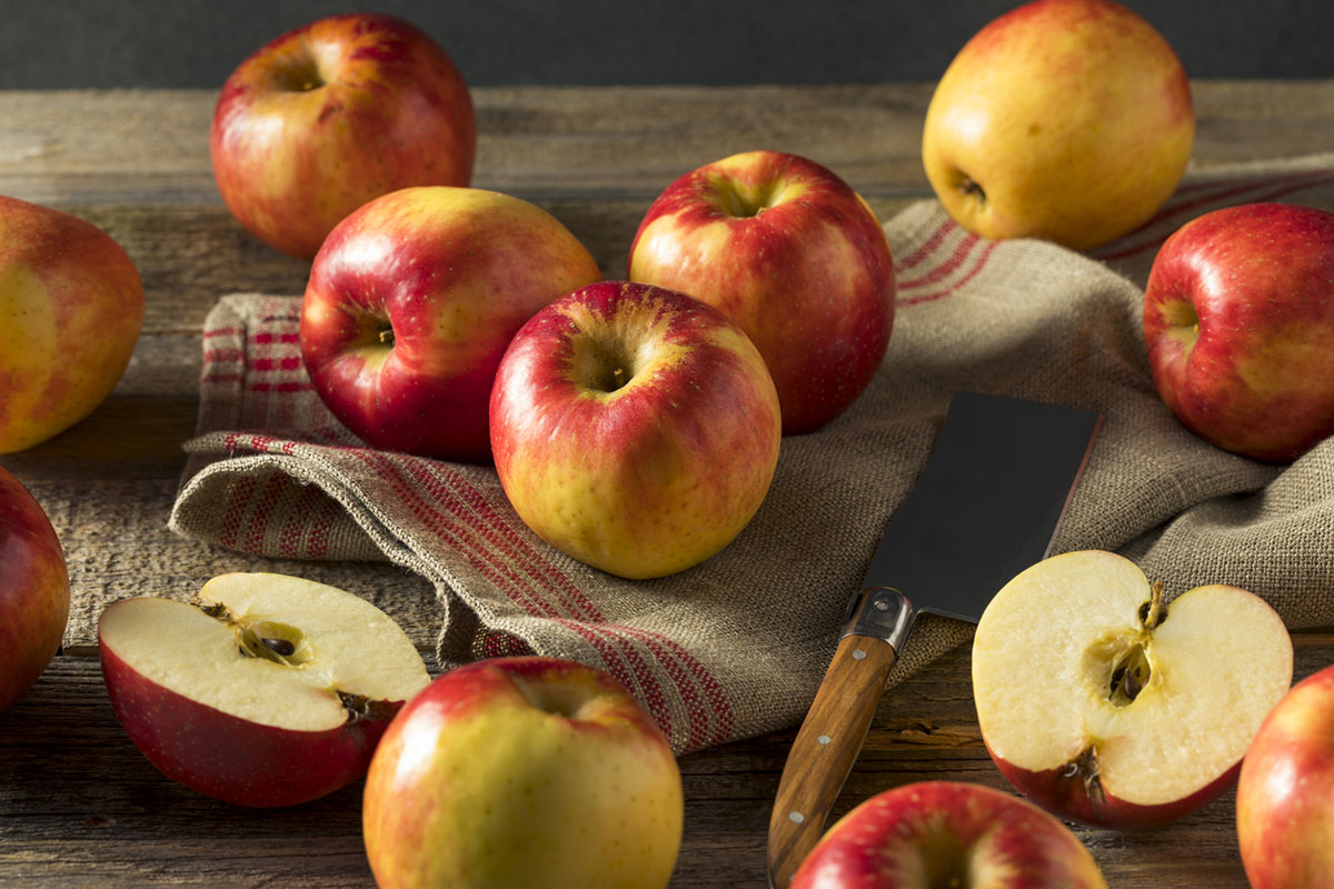 Keep Apples Fresh Longer - Proper Storage for Your Apple Harvest - Stark  Bro's