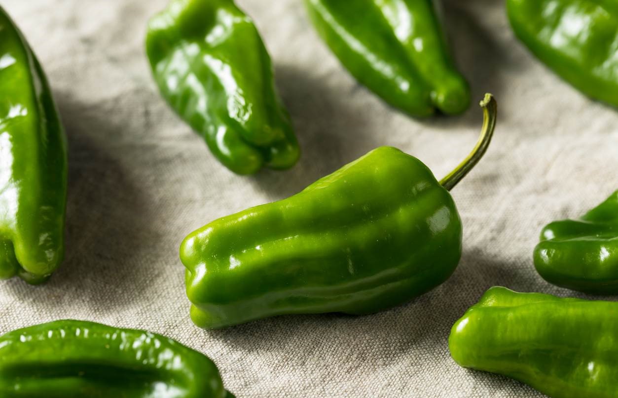 Are Gypsy Peppers Spicy? 