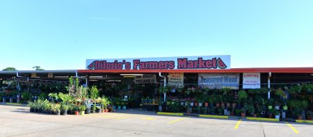 Dilorio Farms and Roadside Market