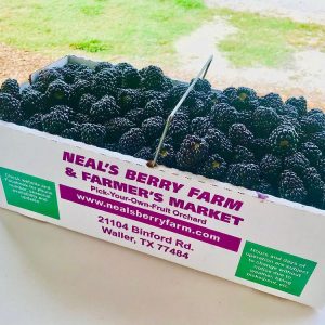 Neal’s Berry Farm