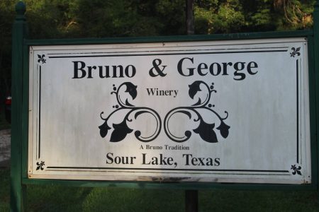 Bruno & George Winery