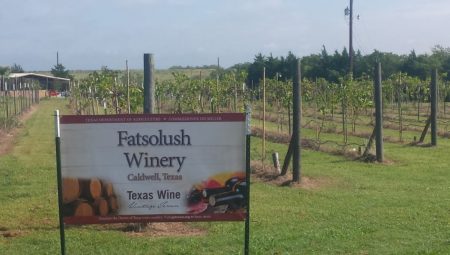 Fatsolush Winery