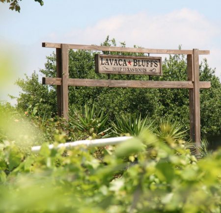 Lavaca Bluffs Vineyard and Winery