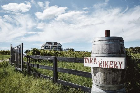 Tara Vineyards and Winery