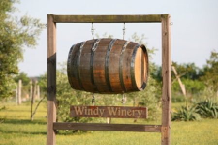 Windy Winery
