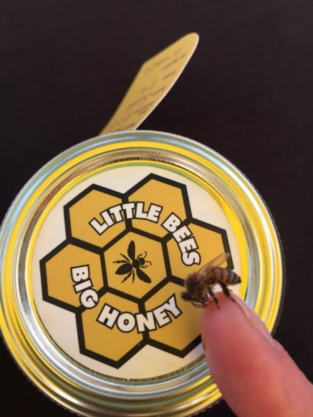 Little Bees Big Honey