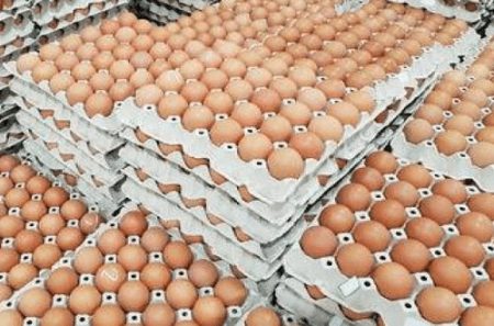 Fitzgerald Fresh Egg Farm