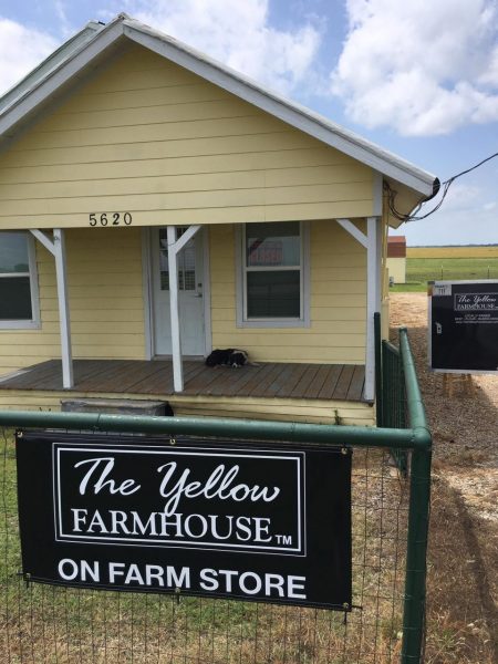 The Yellow Farmhouse