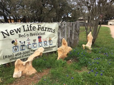 New Life Farms