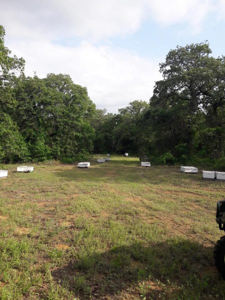 Brown’s Bee Removal & Apiary