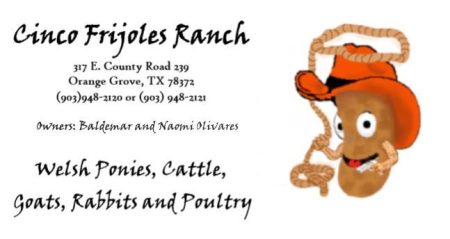 Cinco Frijoles Ranch
