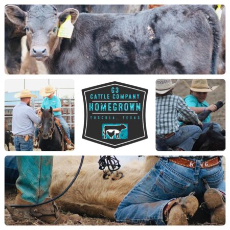 G3 Cattle Company Homegrown