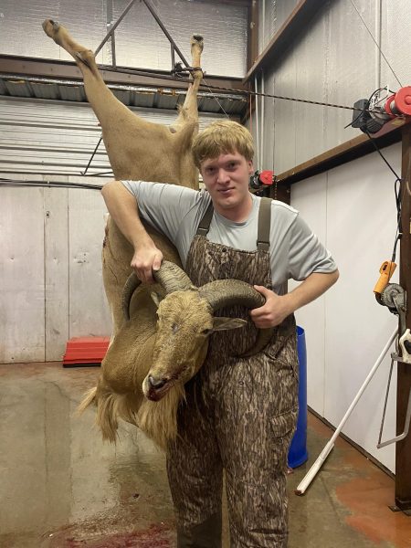 TD’s Deer Processing & Dude’s Taxidermy